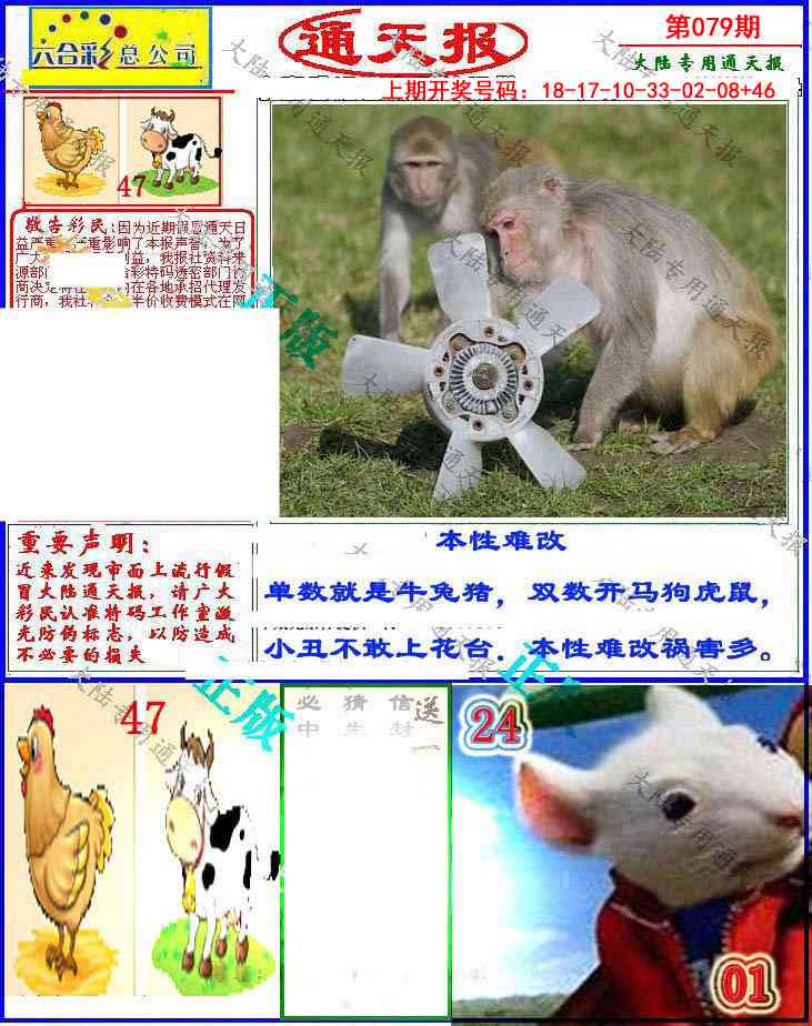 079期大陆通天报[图]